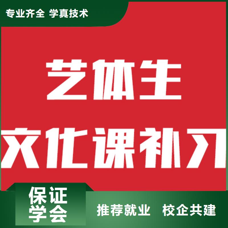 艺考文化课机构【艺考培训学校】理论+实操