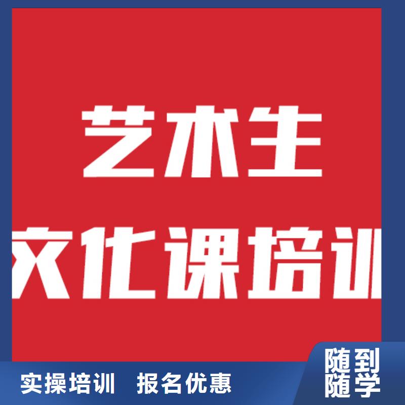 艺考文化课机构高中一对一辅导理论+实操