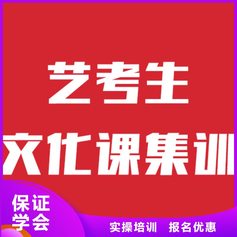 艺考文化课机构高中一对一辅导理论+实操