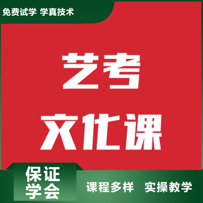 艺考文化课机构【艺考培训学校】理论+实操