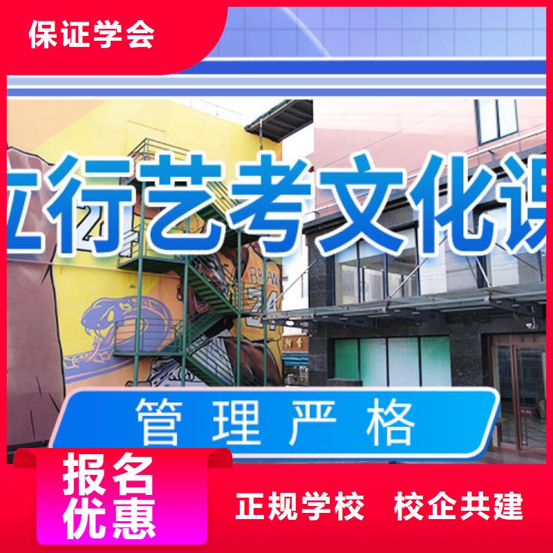 艺考文化课集训高考复读班理论+实操