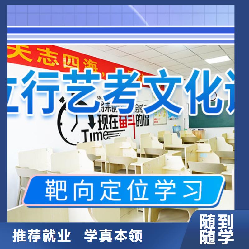 艺考文化课集训【舞蹈艺考培训】课程多样