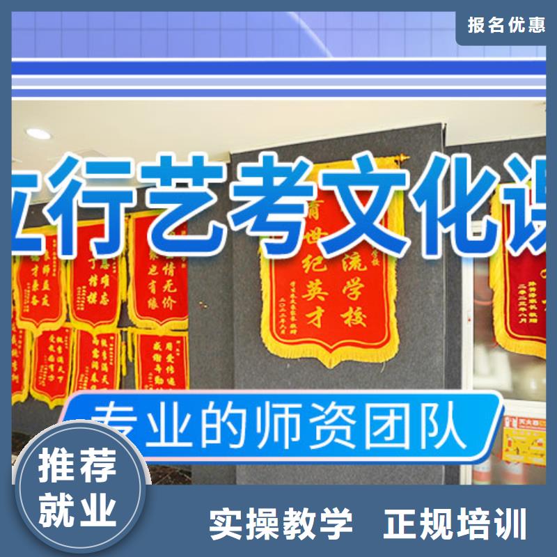 艺考文化课培训-高考语文辅导实操教学