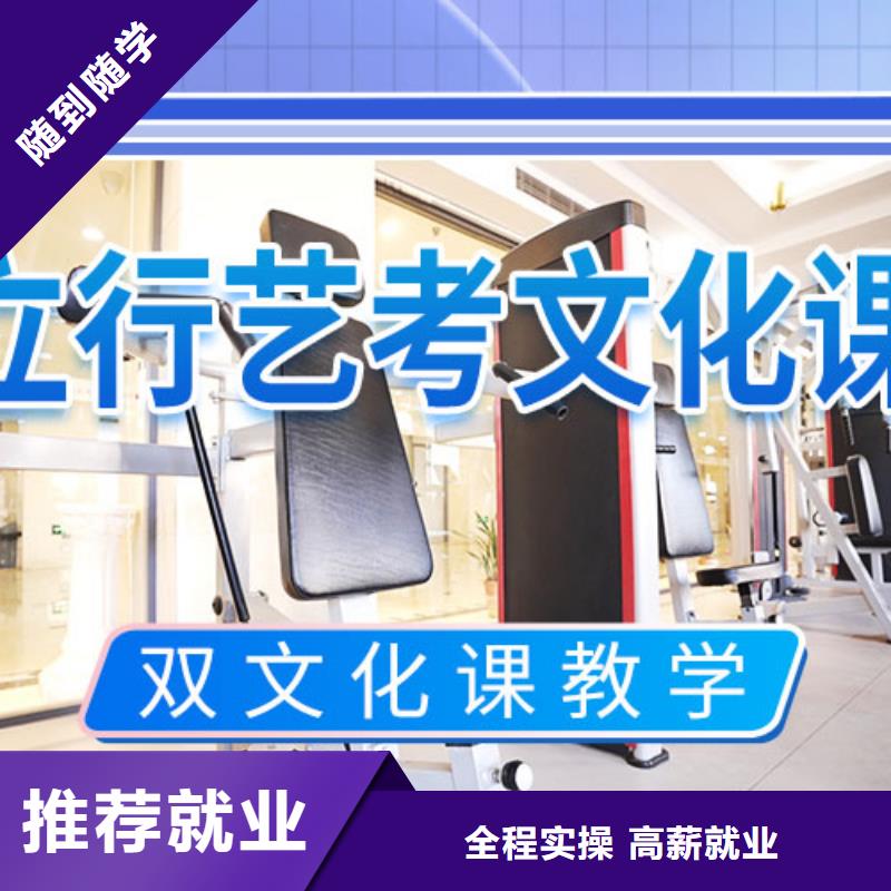 艺考文化课培训-高考语文辅导实操教学
