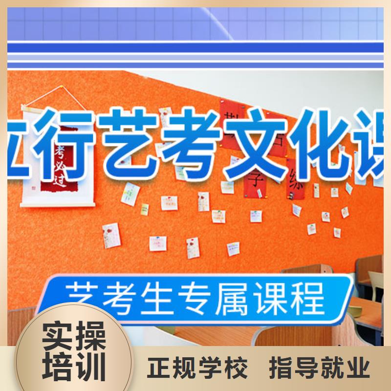 艺考文化课培训-高考语文辅导实操教学