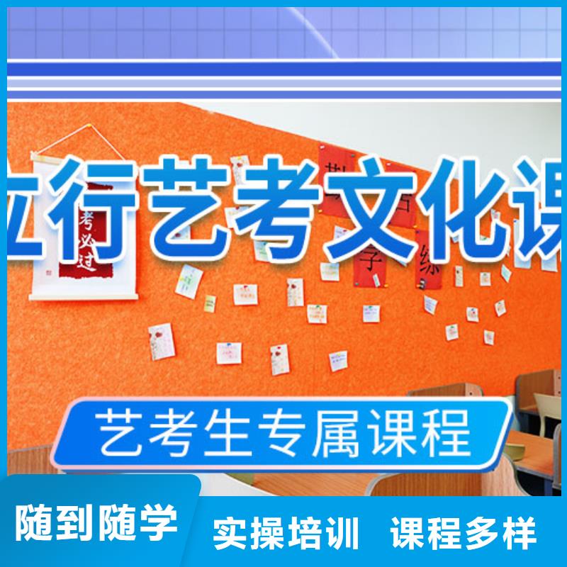 艺考文化课培训-高考语文辅导实操教学