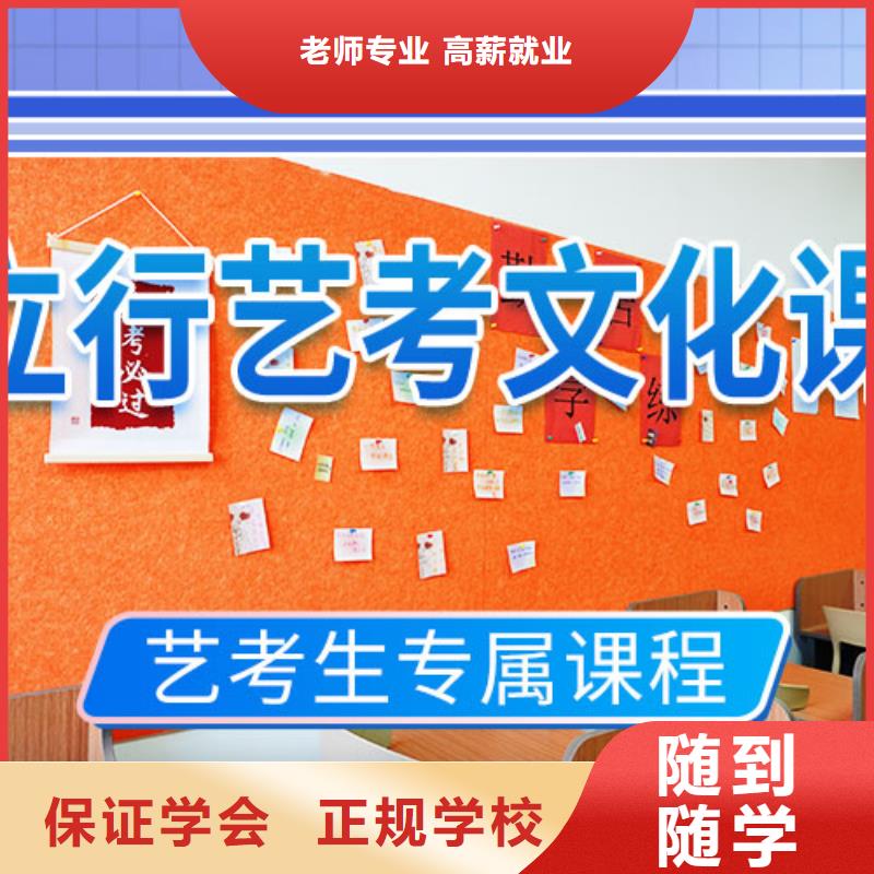 艺考文化课培训-高考语文辅导实操教学