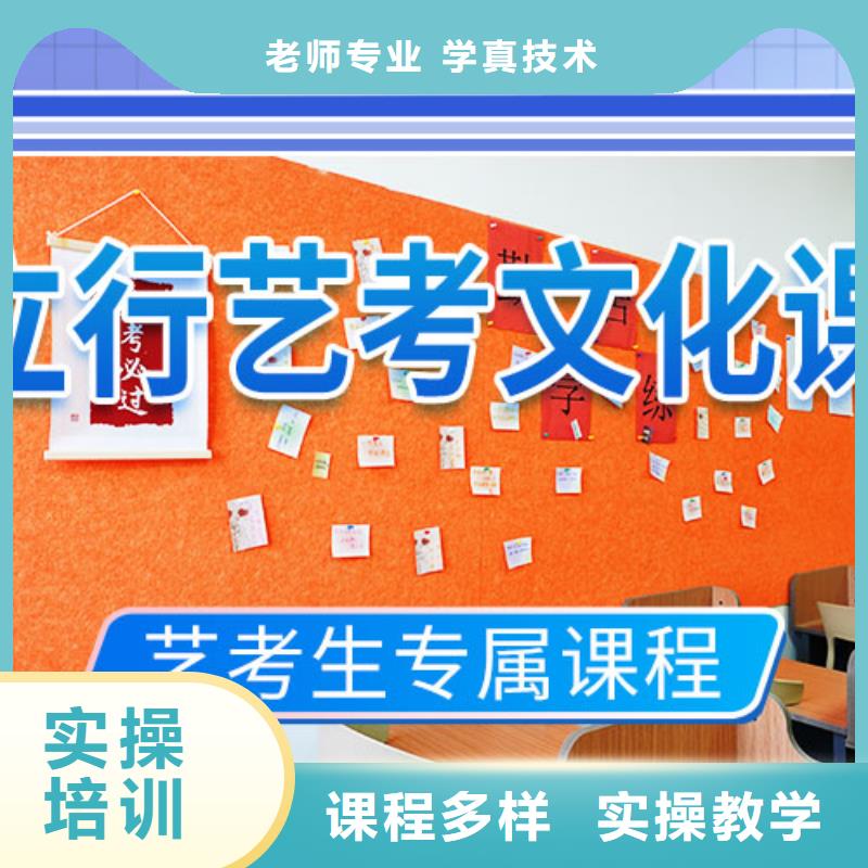 艺考文化课培训-高考语文辅导实操教学