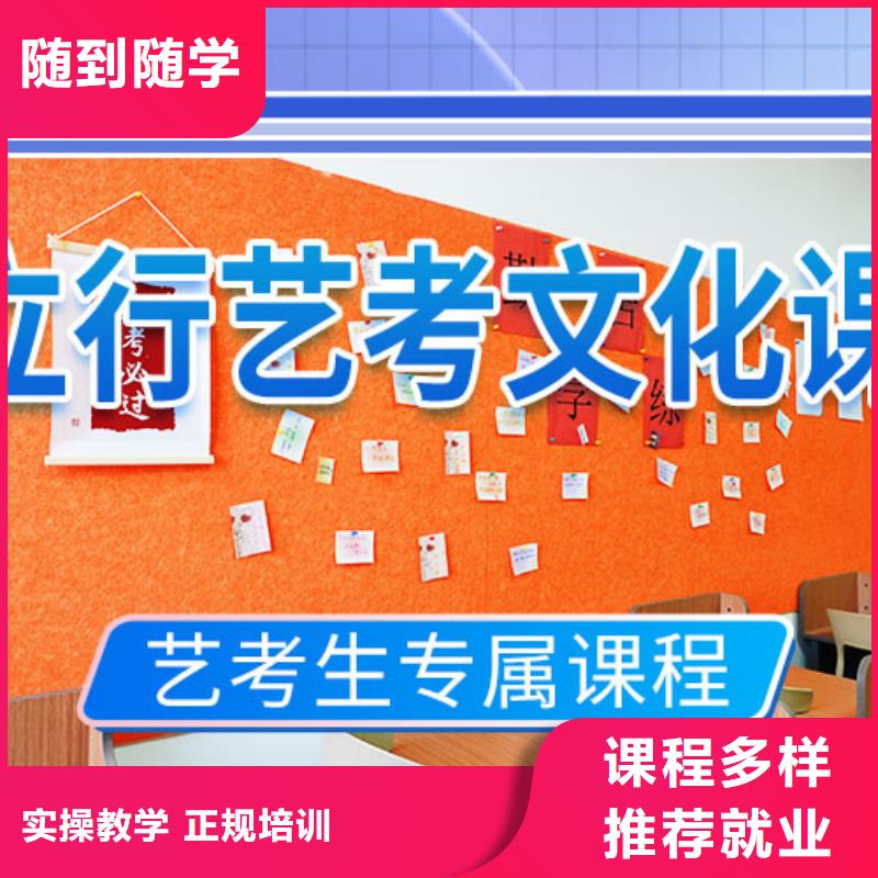 艺考文化课培训-高考语文辅导实操教学