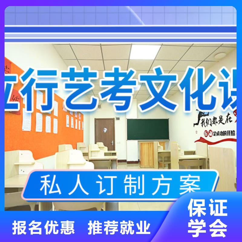 艺术生文化课补习学校有几家