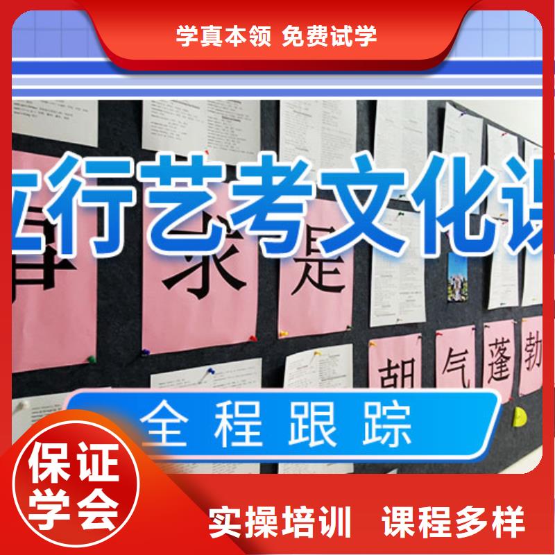 县艺考生文化课补习机构有几所