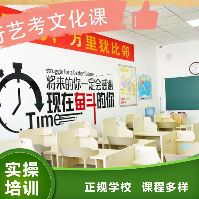 艺考文化课培训艺术生文化补习理论+实操
