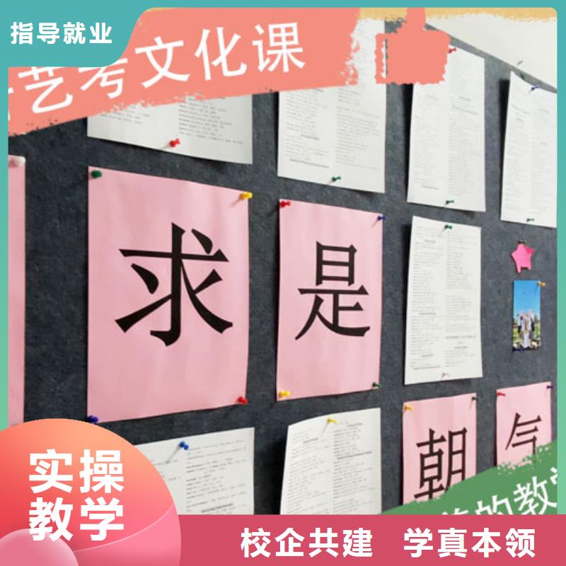 艺考文化课培训艺术生文化补习理论+实操