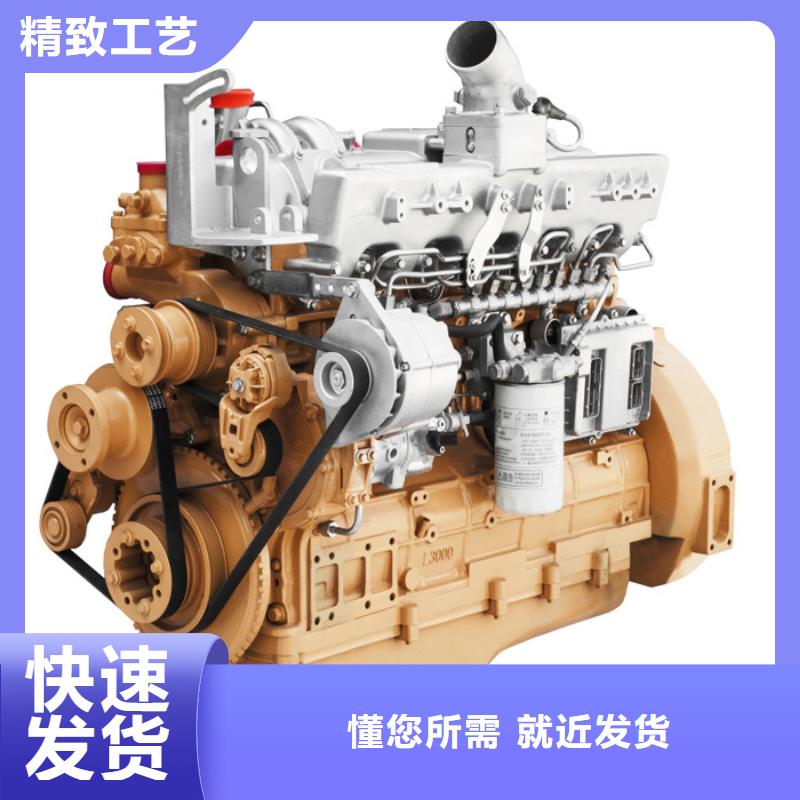 292F双缸风冷柴油机厂家_292F双缸风冷柴油机