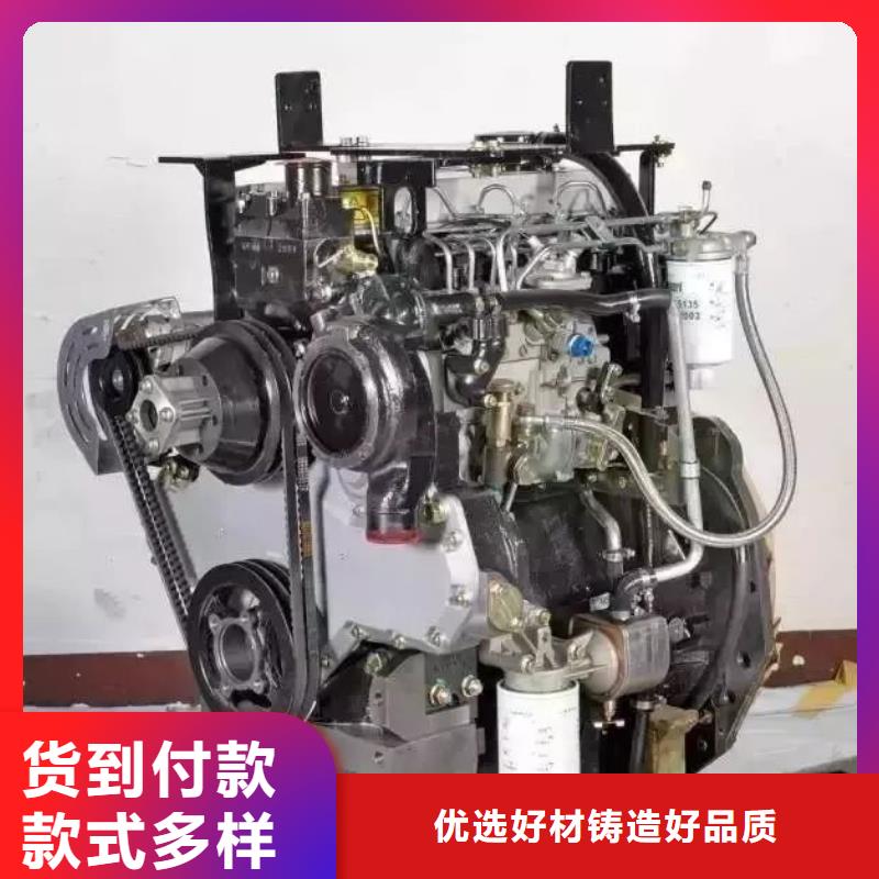 292F双缸风冷柴油机厂家_292F双缸风冷柴油机