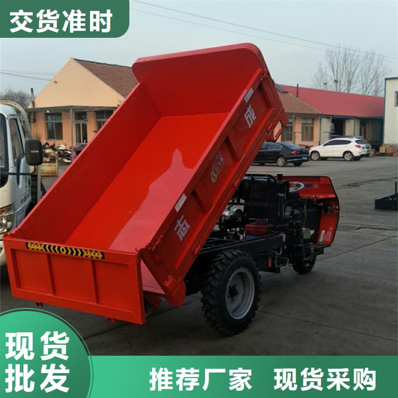 2025源头厂家#（瑞迪通）工程三轮车#专业定制