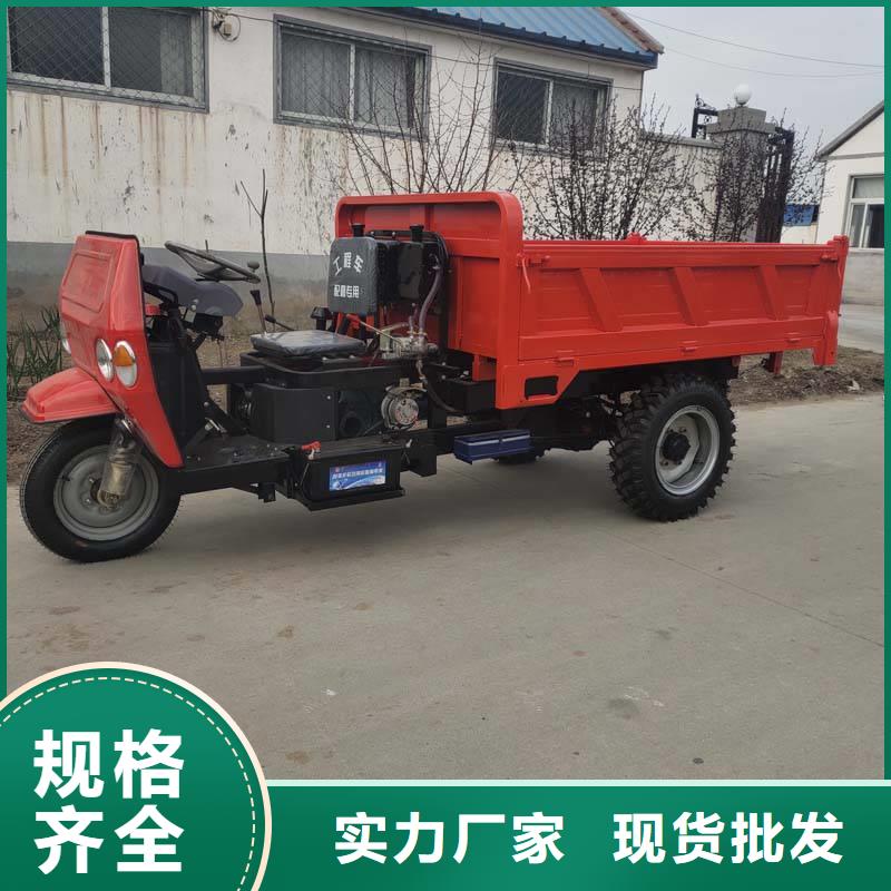 重信誉电动三轮车批发厂家