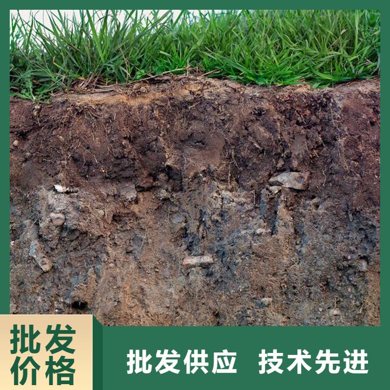 原生泰土壤固化剂全年低价