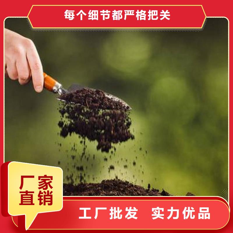 原生泰土壤固化剂为您节省成本