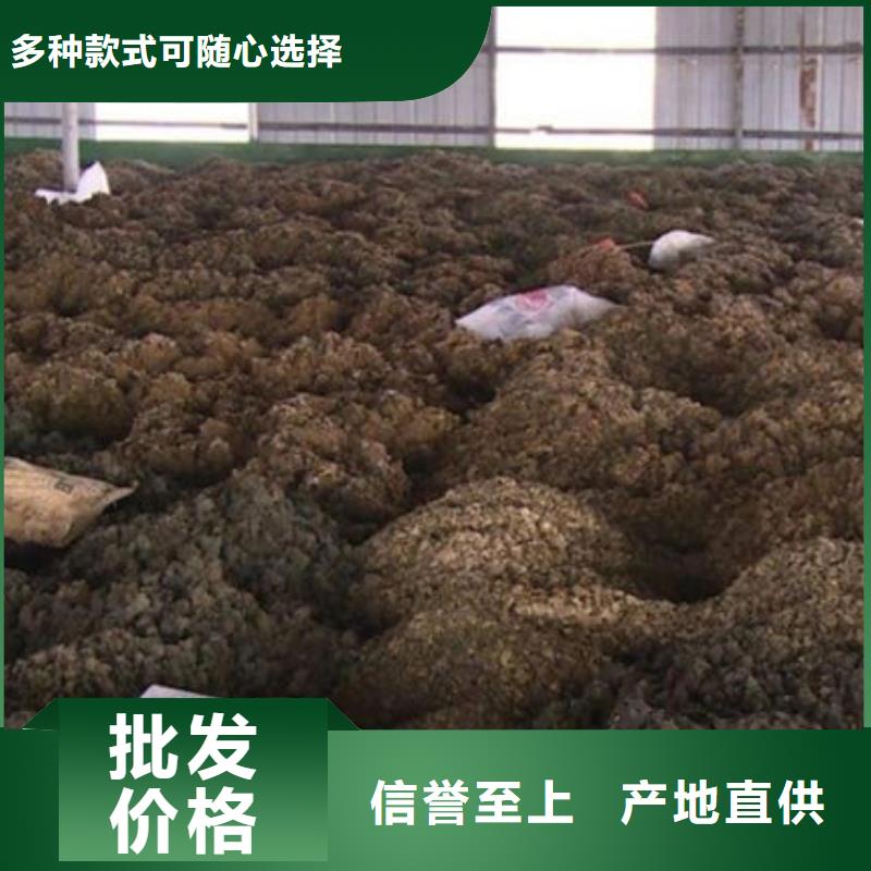 【含铜泥回收太阳能光伏板诚信高价】