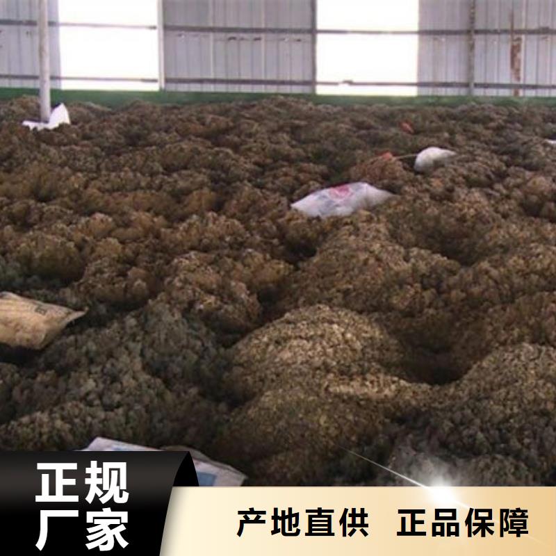 含铜泥回收二手光伏板快速