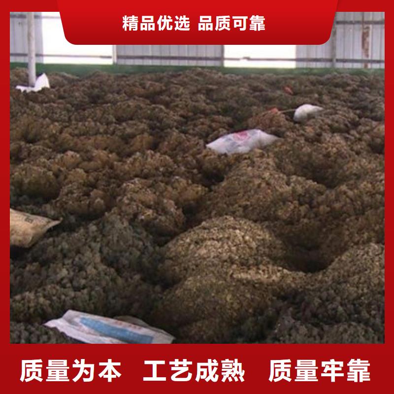 含铜泥,【光伏板回收】诚信经营
