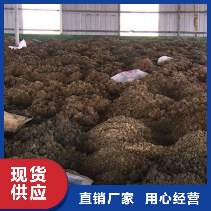 含铜泥 光伏板回收免费估价