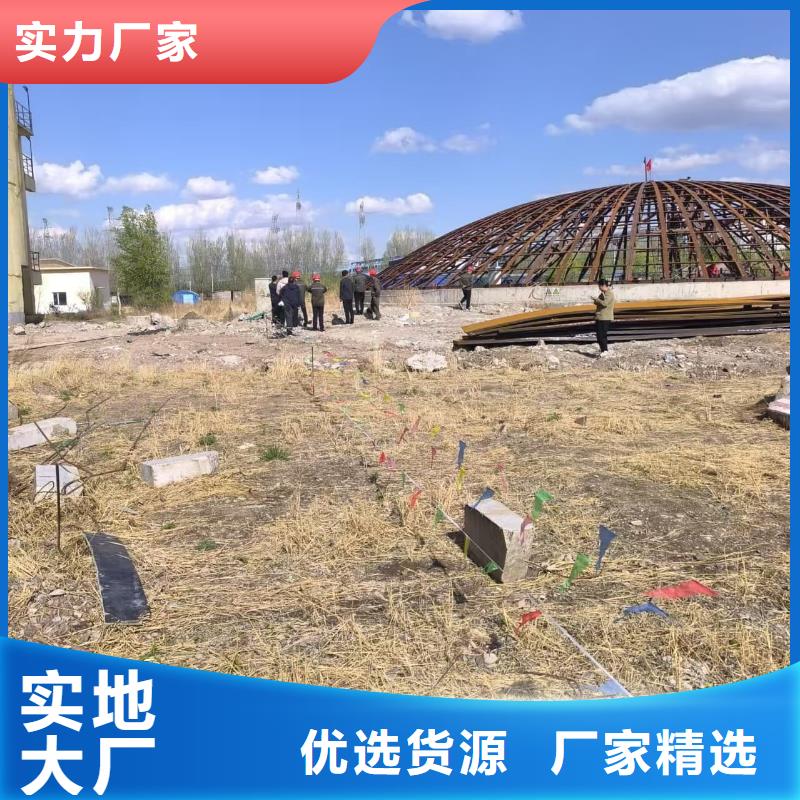 1万吨粉煤灰钢板仓实力工厂放心选购