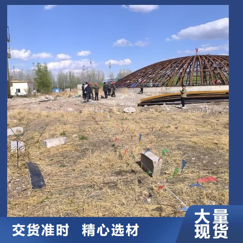 6万吨粉煤灰钢板仓-自主研发