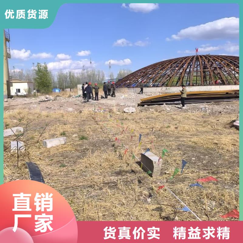 【图】3万吨粉煤灰钢板仓厂家