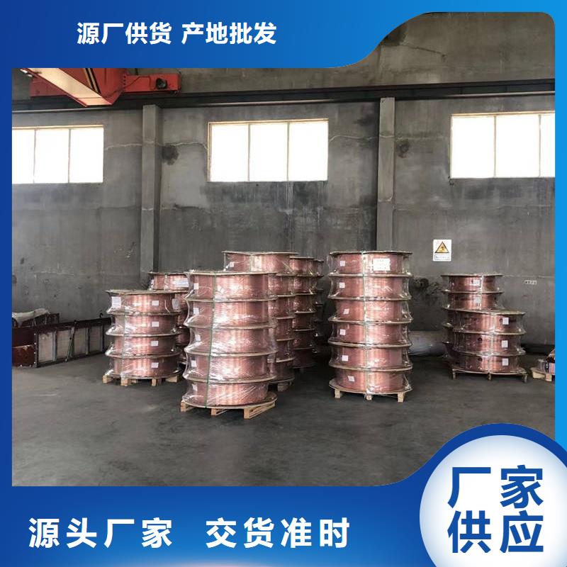 TP2紫铜盘管【修饰词