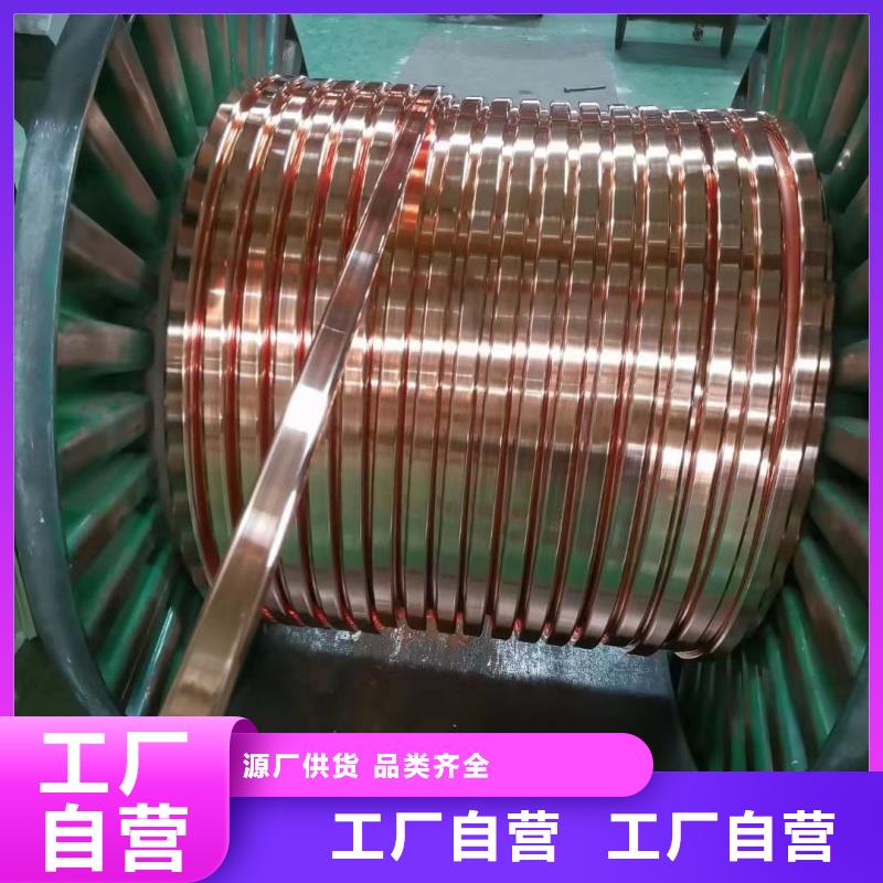 镀锡紫铜排多少钱