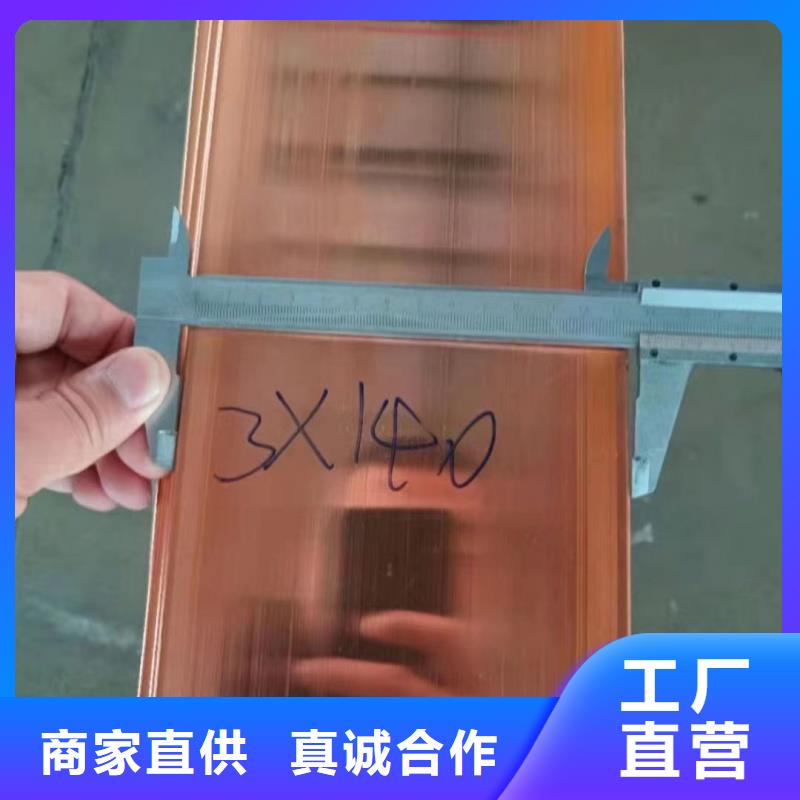 紫铜排N年专注
