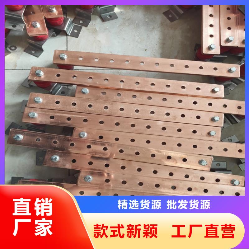 软态紫铜排生产厂家