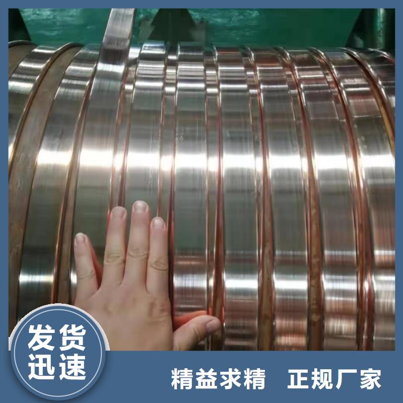 紫铜排品质之选
