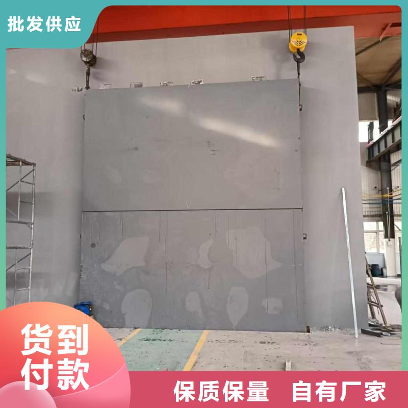 探伤室防护门支持非标定制
