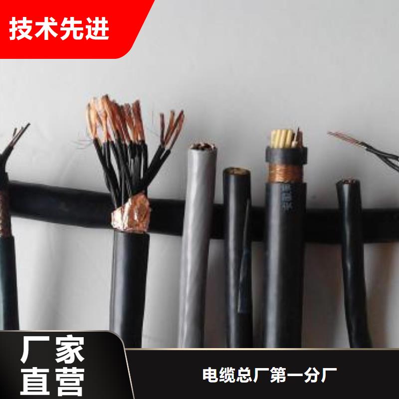 电线电缆-PTYA23电缆来电咨询