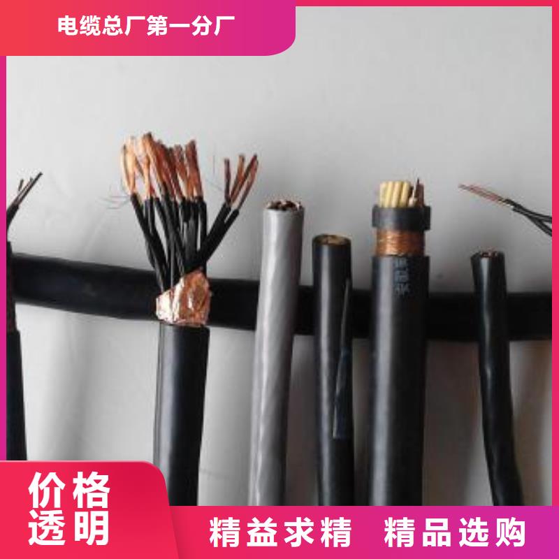 电线电缆PTYA23电缆实力才是硬道理