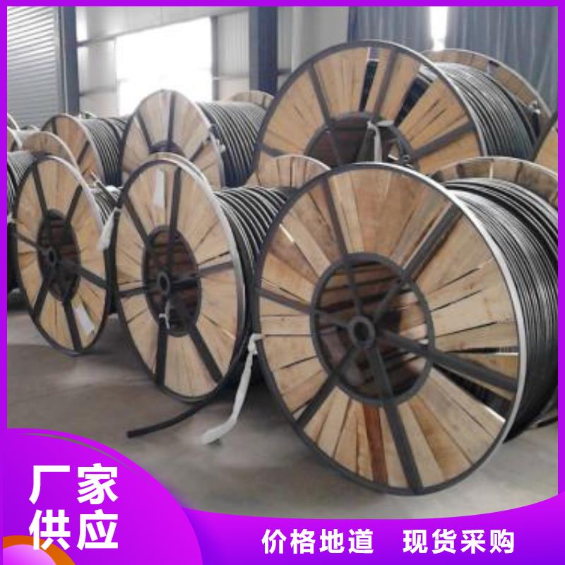 电线电缆PTYA23电缆设计制造销售服务一体