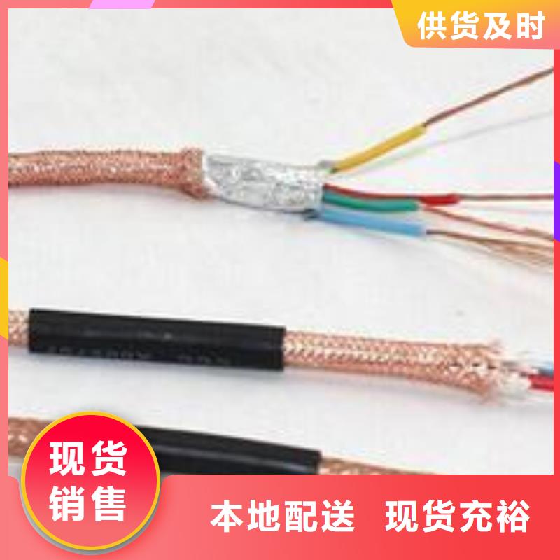 电线电缆PTYA23电缆准时交付