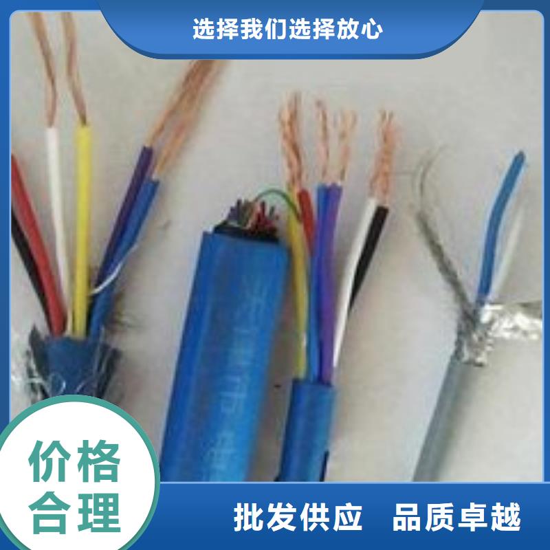 电线电缆-PTYA23电缆选择大厂家省事省心