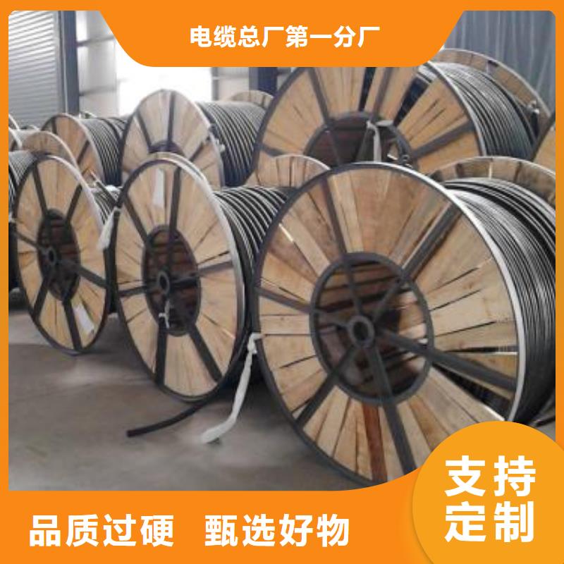 电线电缆PTYA23电缆准时交付