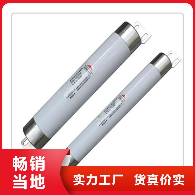 限流熔断器,绝缘子颜色尺寸款式定制