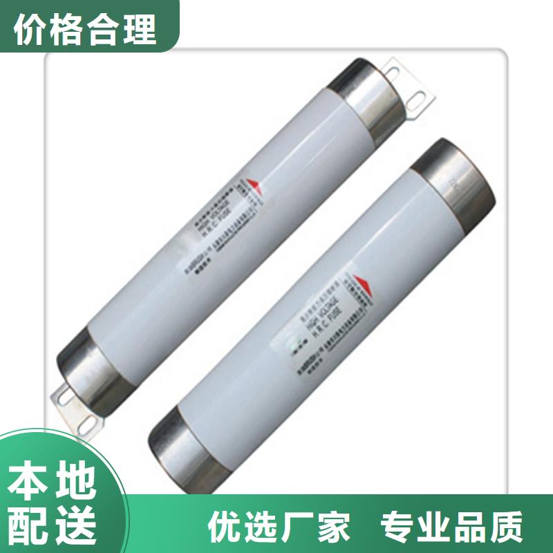 限流熔断器,绝缘子颜色尺寸款式定制