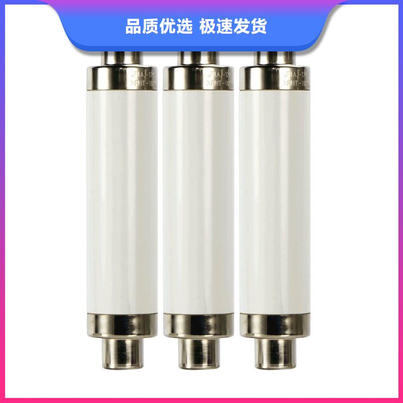 限流熔断器,绝缘子颜色尺寸款式定制