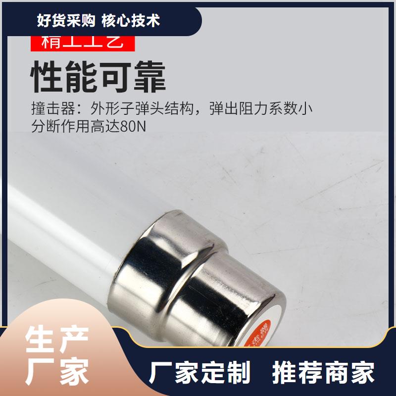 【限流熔断器电缆附件实力大厂家】