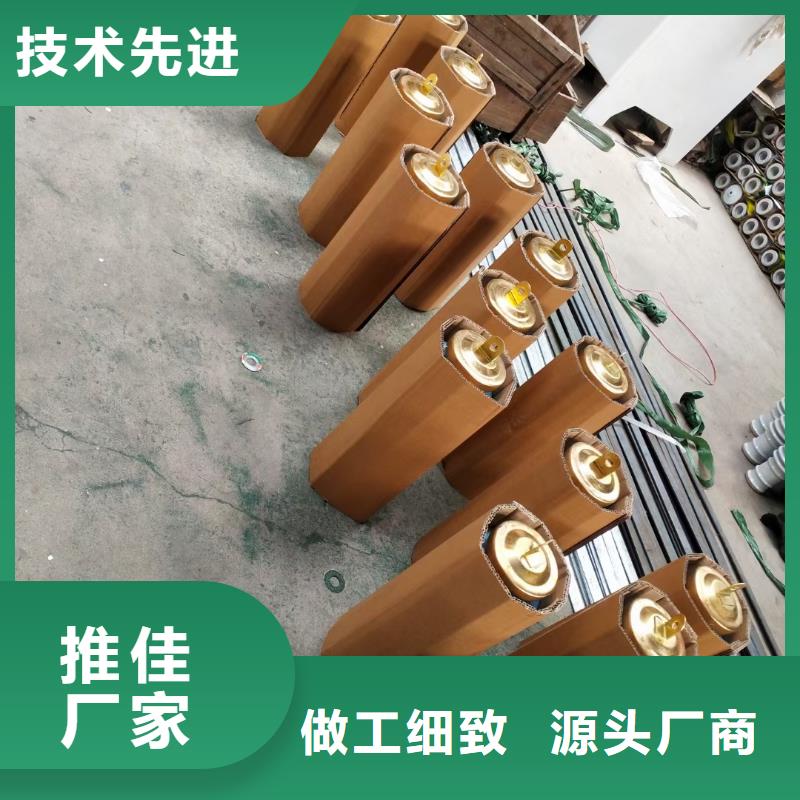 YH10WR-17/45氧化锌避雷器