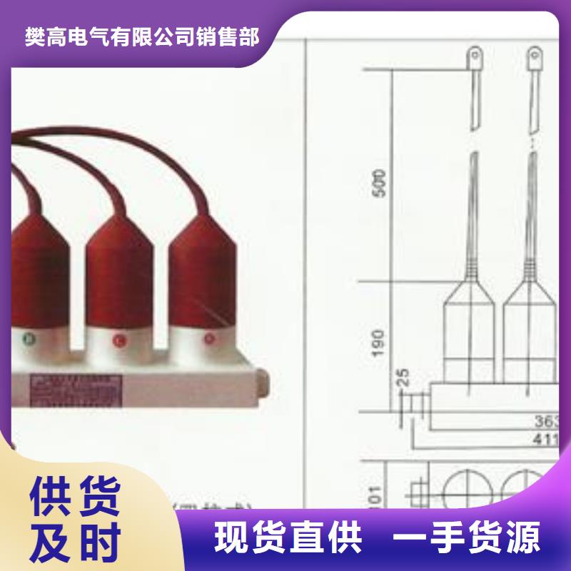 BSTG-C-17三相组合式过电压保护器樊高电气