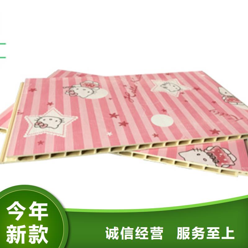 竹木纤维集成墙板护墙板供您所需