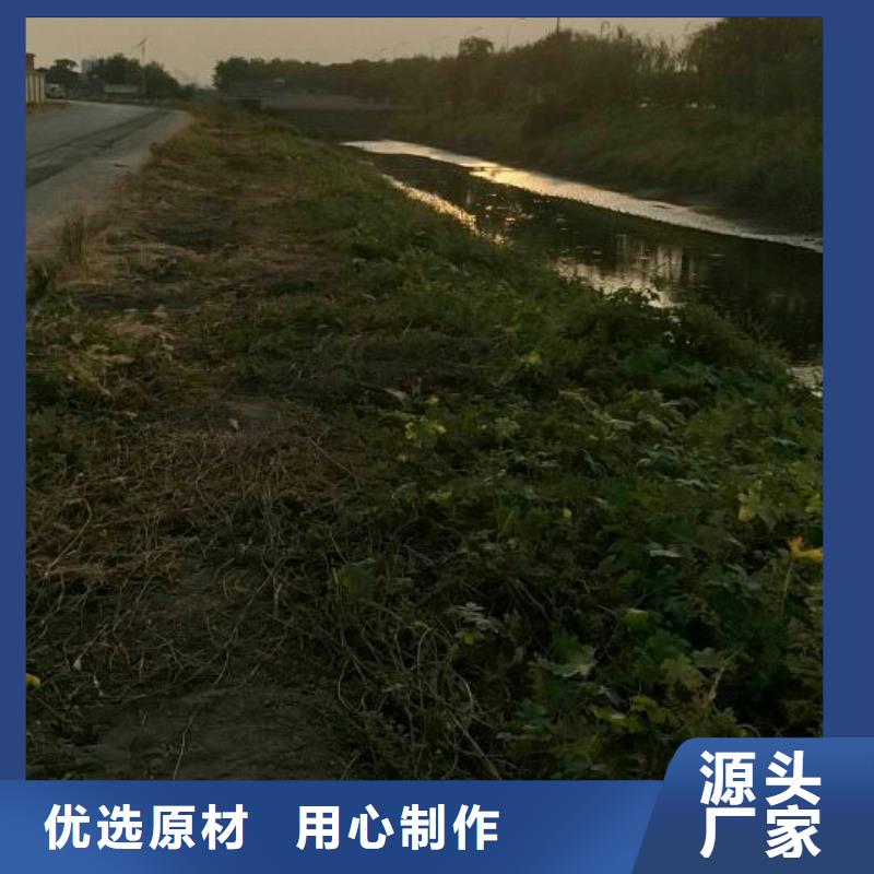 污泥处理土壤固化剂款式新颖